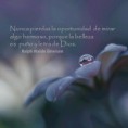 /album/frases-en-imagenes/a562257-10151339334272761-2078436377-n-jpg/