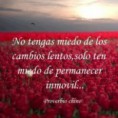 /album/frases-en-imagenes/a734412-10151339375582761-720148083-n-jpg/